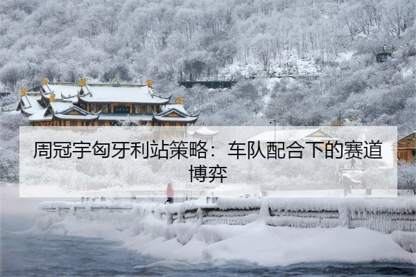 周冠宇匈牙利站策略：车队配合下的赛道博弈