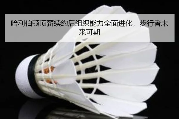 哈利伯顿顶薪续约后组织能力全面进化，步行者未来可期