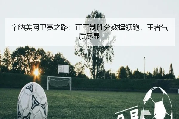 xin-na-mei-wang-wei-mian-zhi-lu-zheng-shou-zhi-sheng-fen-shu-ju-ling-pao-wang-zhe-qi-zhi-jin-xian-2-589.jpg