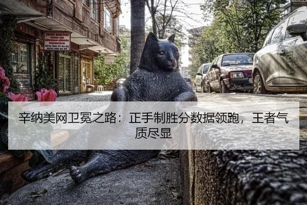 xin-na-mei-wang-wei-mian-zhi-lu-zheng-shou-zhi-sheng-fen-shu-ju-ling-pao-wang-zhe-qi-zhi-jin-xian-3-800.jpg